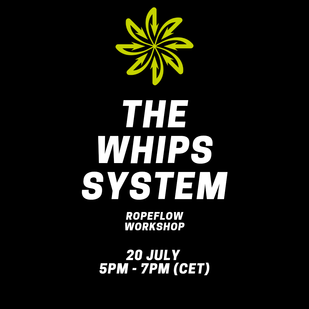THE WHIPS SYSTEM Ropeflow Workshop