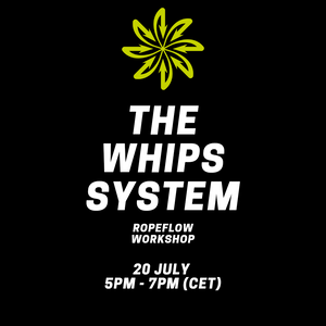 THE WHIPS SYSTEM Ropeflow Workshop